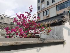 -厝味火锅·潮汕卤水火锅(十一合店)