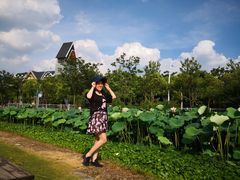 -美兰湖景区