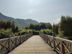 -贵阳市花溪国家城市湿地公园