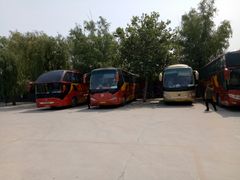 -东方巨龟苑景区