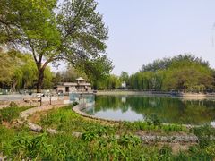 -黄村公园
