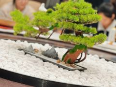 -会宾园·云山宴中餐