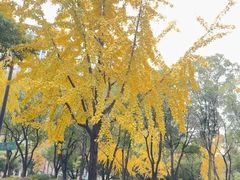 -无名氏面馆(邮电路店)