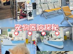 -成都民大动物医院