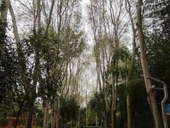 -西安市长乐公园