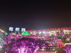 -枇杷园食为鲜火锅(南山店)