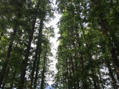 -渡海小渔村.老辈日照菜