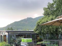 -蘇河湾·新鲁菜·泰山宴(泰山店)