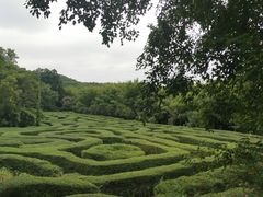-大屏嶂森林公园