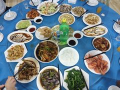 -夏军农家乐