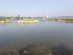 -叶存利海鲜大馅饺子(海宁路总店)