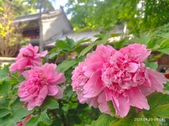 -潭柘寺景区