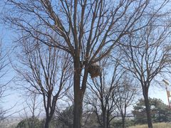 -北京西山国家森林公园