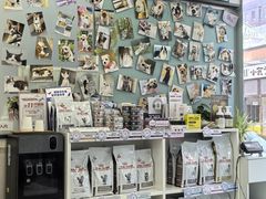 -爱妮康宠物医院·干细胞免疫细胞·肿瘤·心脏(张江店)