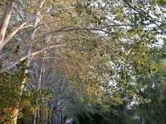 -党河风情线国家水利风景区