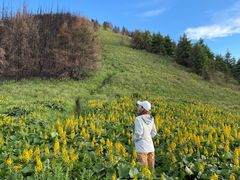 -灵山
