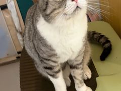 -平行世界·猫咖(首经贸店)