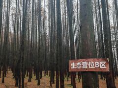 -山王坪喀斯特国家生态公园