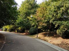 -南湖湿地公园