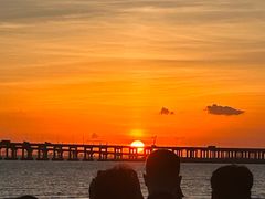 -宝安西湾红树林湿地公园