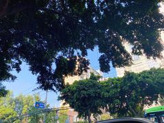 -晓友烧麦(光华村店)