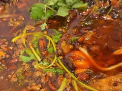 -鸿顺老铁锅美蛙鱼府(解放碑店)