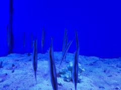 -多彩贵州城极地海洋世界