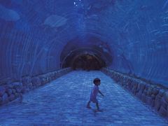 -华夏文旅海洋公园