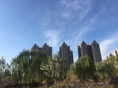 -燕郊植物园
