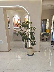 点击看大图 -小阿福儿童摄影(光谷时代广场店)