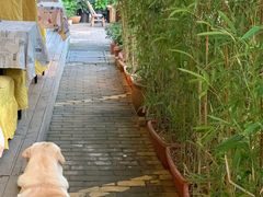 -朕悦鹧鸪饭私房菜