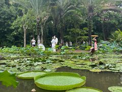 -西双版纳勐泐文化旅游区