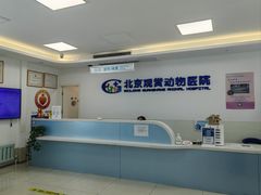 -北京观赏动物医院·24小时大型综合·猫专科·异宠专科