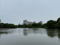 -圩墩遗址公园