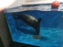 -成都浩海立方海洋公园