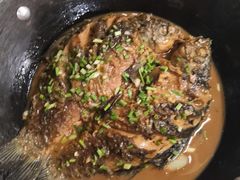 红烧野生鲫鱼-集贤门·徽菜(福田店)