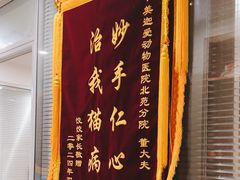 -美迦爱-牙专科·兔科·骨科诊疗中心(北苑店)