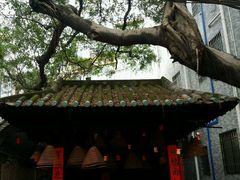 -小洲村