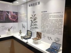 -MUSEO COFFEE咖啡博物馆