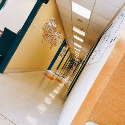 -杭州贝瑞斯美华妇儿医院·早孕·产检·儿科