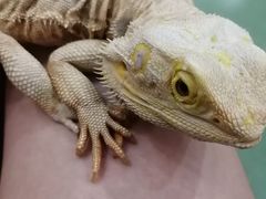 -藦茜花园宠物主题亲子互动体验馆(国顺东路店)