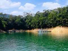 -广州市流溪河国家森林公园