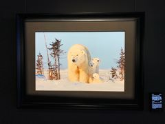 -罗红摄影艺术馆