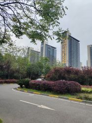 -禾丽康美医疗美容医院
