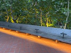 -毛辣果·酸(OHA复兴西路店)