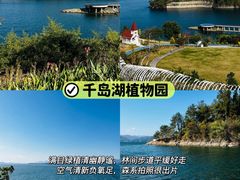 -水边人家·鱼宴餐厅·淳鱼馆(千岛湖店)