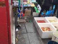 -哈尔滨道外花鸟鱼市场