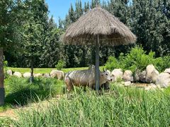 -北京野生动物园