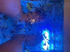 -汤连得温泉馆(宝山店)