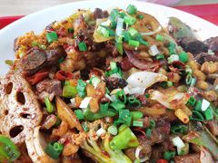 -四川农业大学(雅安校区)